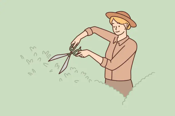 Vector illustration of Woman gardener uses large scissors to shape bushes and remove diseased twigs