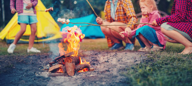 Group of the people sitting near the campfire and cooking marshmallows. stock photo