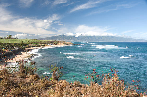 istock Hookipa bay perfect surf and windsurf beach on maui hawaii 146817787