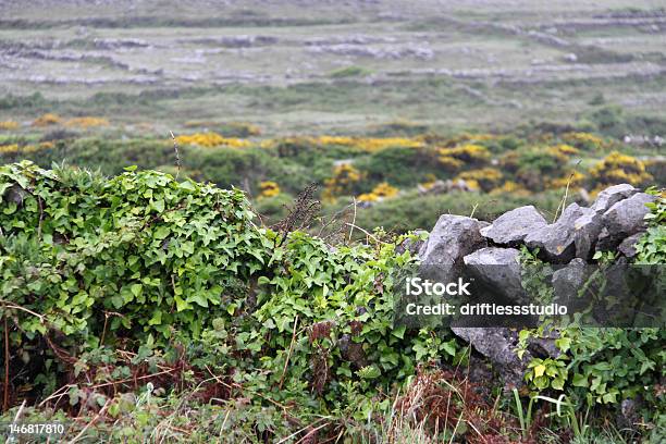 바위산 벽 아일랜드 지역을 블랙베리에 대한 스톡 사진 및 기타 이미지 - 블랙베리, 경계, 관광