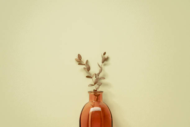 istock Brown glass vase of dry eucalyptus leaf and yellow wall background. copy space 1468178113
