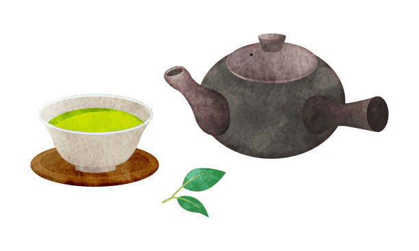 illustration von teekanne und grünem tee handgemalter aquarellstil - green tea illustrations stock-grafiken, -clipart, -cartoons und -symbole