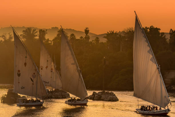 Feluccas On The Nile, Aswan, Egypt Aswan, Egypt - February 14, 2023: Aswan is a city in Southern Egypt. Aswan is a busy market and tourist centre located just north of the Aswan Dam on the east bank of the Nile at the first cataract.
Aswan includes five monuments within the UNESCO World Heritage Site of the Nubian Monuments from Abu Simbel to Philae nile delta photos stock pictures, royalty-free photos & images