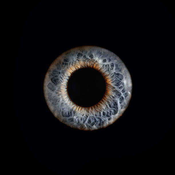 istock Macro shot of a human eye 1468180939