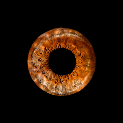 Macro shot of a human eye, macro iris on a black background, suitable as a creative background, Iris heterochromia