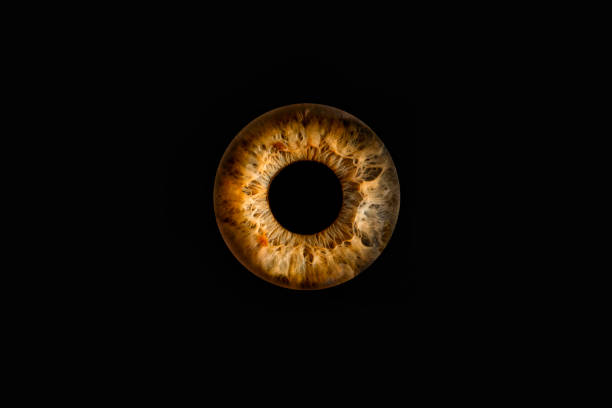 istock Macro shot of a human eye 1468183229