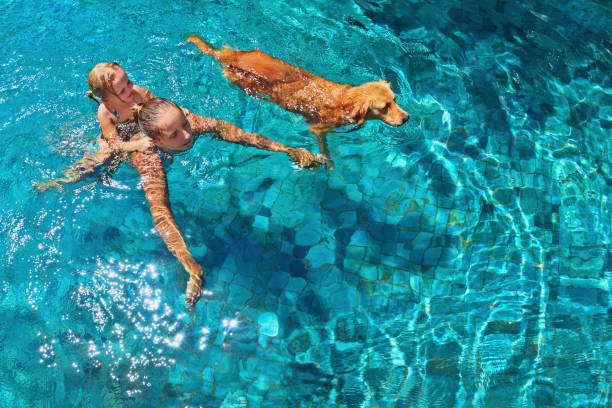 mãe com criança na costas nade com cachorro na piscina - underwater dog adult happiness - fotografias e filmes do acervo