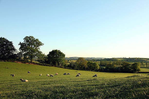 Northamptonshire Countryside Evening
