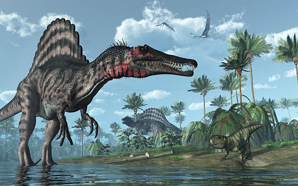 Prehistoric scene with Spinosaurus and Psittacosaurus Dinosaurs A tropical prehistoric scene with several dinosaurs, including two spinosauruses, a psittacosaurus and two dorygnathuses in flight. 3D render spinosaurus stock pictures, royalty-free photos & images