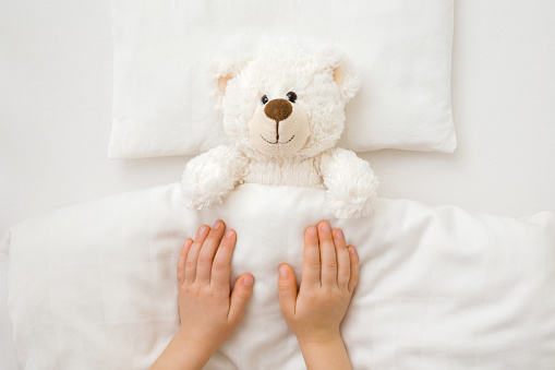 Little child hands putting white fluffy teddy bear to sleep on pillow and sheet under blanket in baby crib. Closeup. Point of view shot. Kids best friend. Top down view.