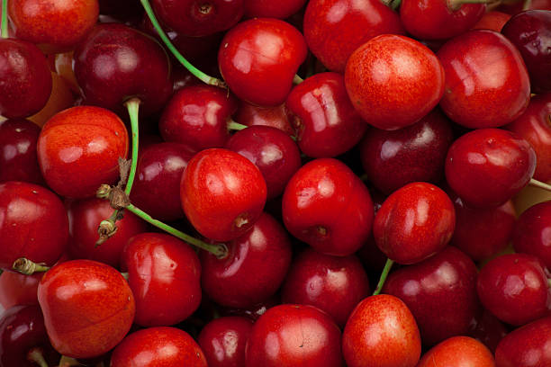 istock Freshly picked heap of cherries 146818907