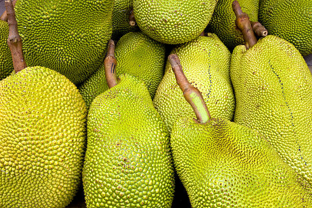 Jackfruit, Food, Fruit, Plant, Tropical Climate