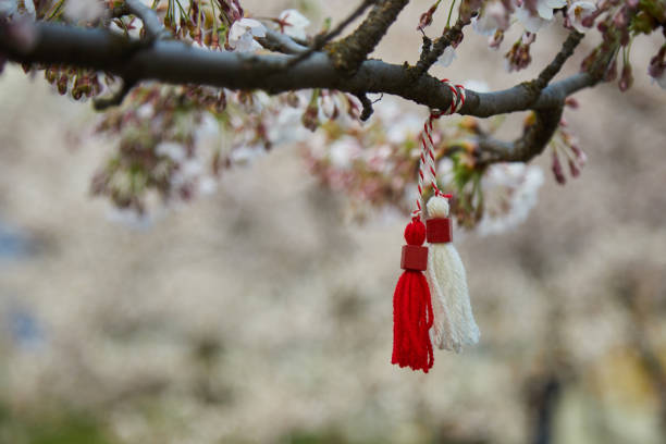 istock Bulgarian traditional spring decor martenitsa on the blossom tree. Baba Marta holiday. 1468195261