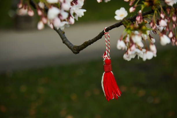 istock Bulgarian traditional spring decor martenitsa on the blossom tree. Baba Marta holiday. 1468195502