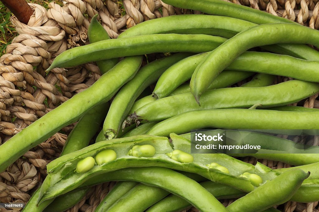 Fava di capsule - Foto stock royalty-free di Aperto