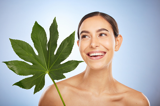 Woman, skincare and plant leaf in studio for self care beauty, wellness and smile by blue background. Model, happy and monstera leaves for natural cosmetic, radiant skin glow or aesthetic by backdrop