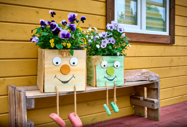 Garden pansy (Viola tricolor) in cute flower boxes. Floral spring background.