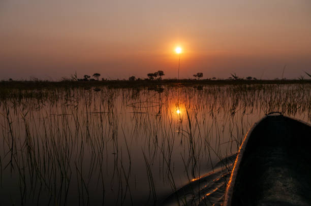 puesta de sol en el delta de okavango - cloud morning delta landscape fotografías e imágenes de stock
