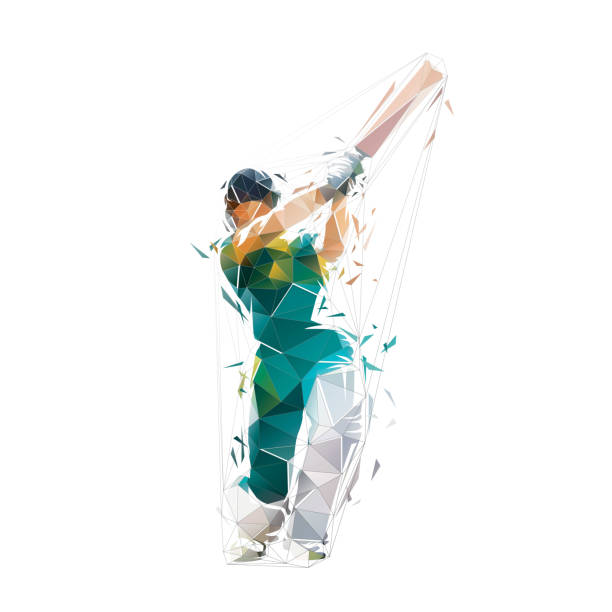 cricketspieler, isolierte niedrige polygonale vektorillustration, cricketspieler, schlagschläger, geometrische zeichnung aus dreiecken - cricket stock-grafiken, -clipart, -cartoons und -symbole