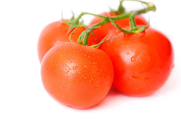 red tomato stock photo