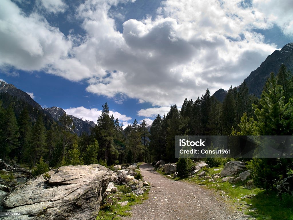 Parque nacional Aigüestortes - Foto de stock de Abeto libre de derechos