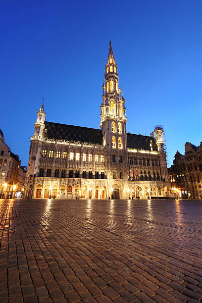 istock Brussels town hall - Belgium (night shot) 146821436