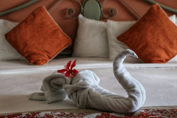 istock swan made with towels on a hotel bed 1468214414