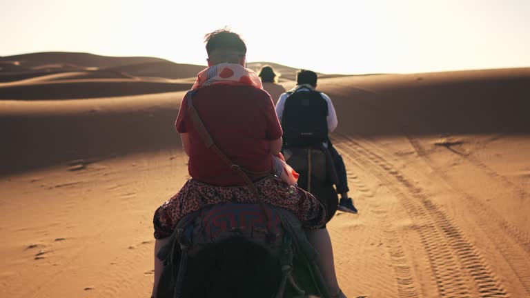 rear view Asian Chinese Tourist Camel caravan going through the Sahara desert in Morocco at sunset