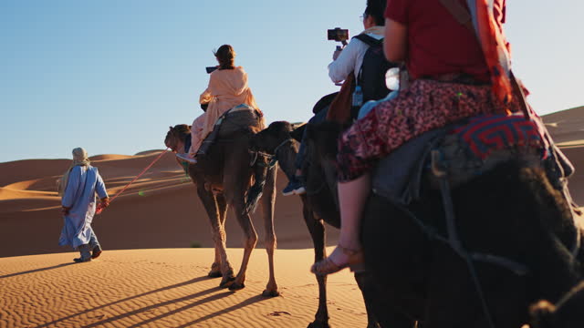 rear view Asian Chinese Tourist Camel caravan going through the Sahara desert in Morocco at sunset