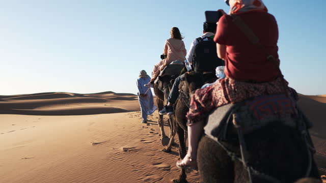 rear view Asian Chinese Tourist Camel caravan going through the Sahara desert in Morocco at sunset