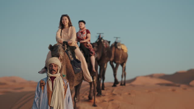 Asian Chinese Female Tourist Camel caravan going through the Sahara desert in Morocco at sunset
