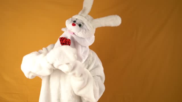 White rabbit. Easter bunny with red bow.