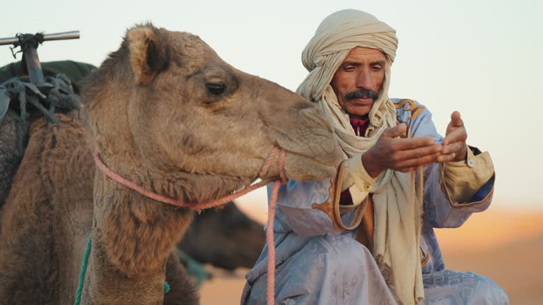 Moroccan camel driver holding scooping sand resting in Sahara Desert with Camel