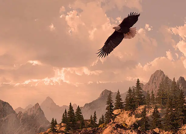 Bald eagle soaring in the Rocky Mountain high country. Original illustrative composition, created by me using Vue 3D software.