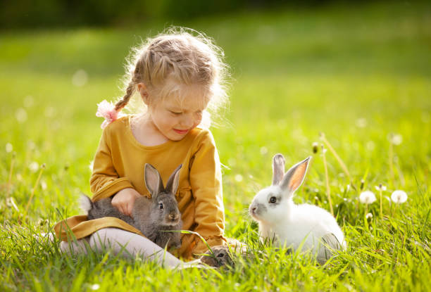 istock the girl with rabbits 1468216557