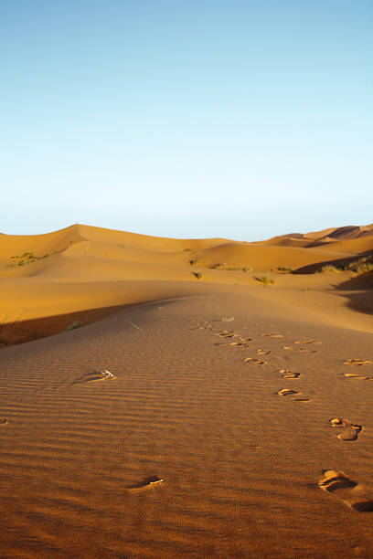 istock late afternoon on Sahara desert 146821688
