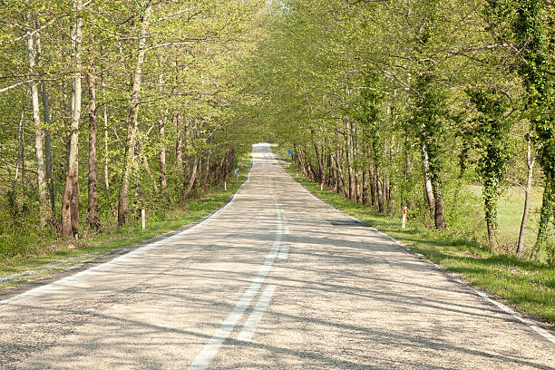 road & nature stock photo