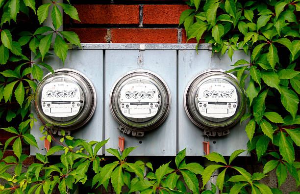 Electric meters on brick wall surrounded by green leaves stock photo