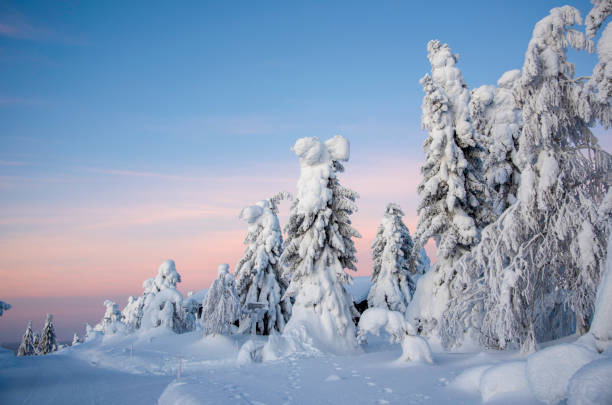 istock Snowy mountain in Finnish Lapland 1468222490