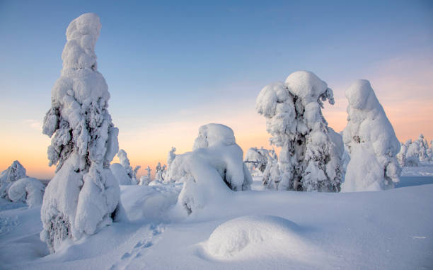 istock Snowy mountain in Finnish Lapland 1468222510
