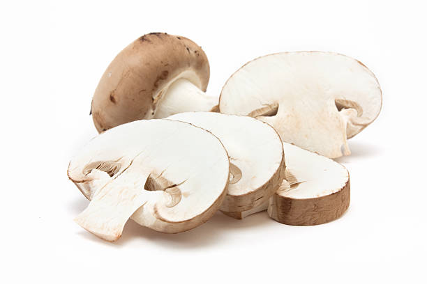 castaña de hongos - edible mushroom plants raw food nature fotografías e imágenes de stock