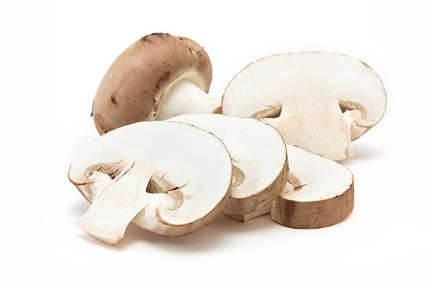 castagna funghi - edible mushroom plants raw food nature foto e immagini stock