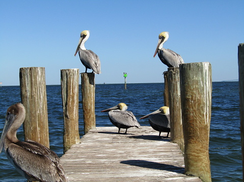 istock Sitting on the dock of the bay 1468225470