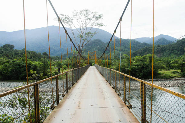 istock Footbridge Amidst Trees In Forest Against Sky 1468229143
