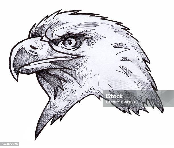 Águila Calva Boceto Foto de stock y más banco de imágenes de Águila - Águila,  Ilustración, Dibujo al lápiz - iStock