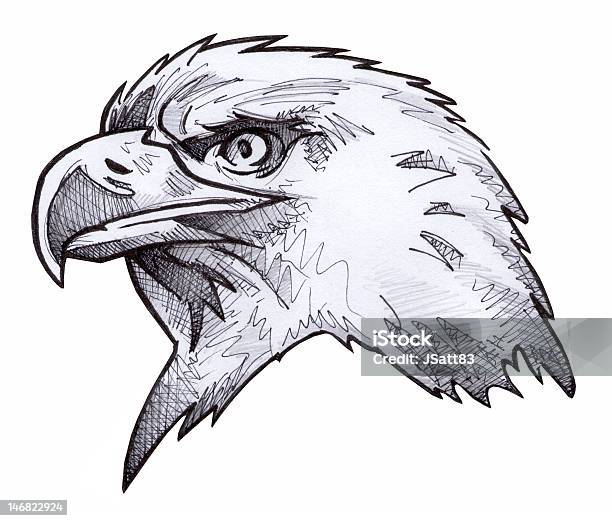 Águila Calva Boceto Foto de stock y más banco de imágenes de Águila - Águila, Ilustración, Dibujo al lápiz - iStock Águila Calva Boceto Foto de stock y más banco de imágenes de Águila - Águila, Ilustración, Dibujo al lápiz - iStock