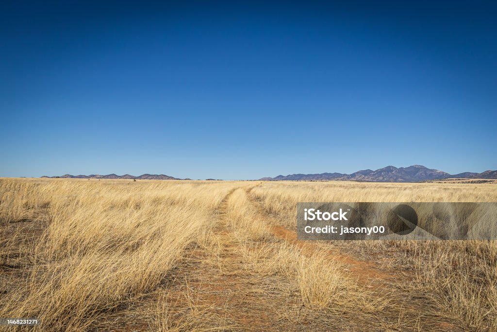 A dirt road leading off into the distance to mountains on the horizon A dirt road leading off into the distance to mountains on the horizon under a clear blue sky. Distant Stock Photo