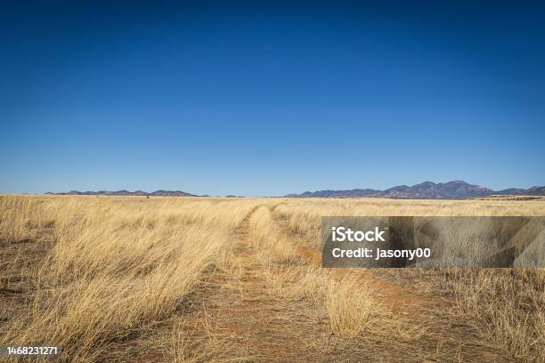 A Dirt Road Leading Off Into The Distance To Mountains On The Horizon Stock Photo - Download Image Now