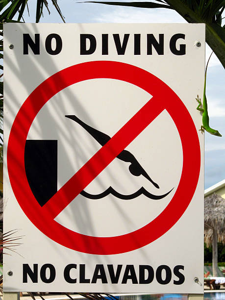 No Diving Green gecko sitting the no-diving sign trishz stock pictures, royalty-free photos & images