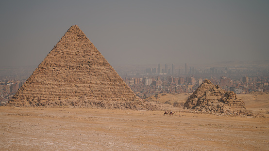 Cairo, Égypt - November 05, 2018 :  the sun falls on the pyramids and tourists discover this majestic tourist site full of history.  \ncamels are ubiquitous on the site of the pyramids.
